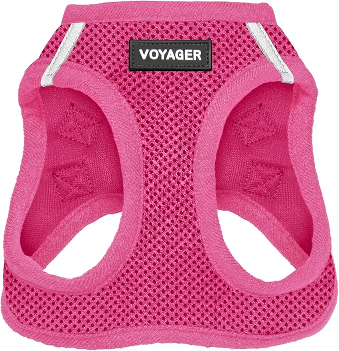 Best Pet Supplies Voyager Step-in Air Harness - All Weather Mesh, Reflective, No Pull Harness for Dogs, Cats - Secure with Hook & Loop Fastener, Buckle, Double D-Rings - Fuchsia, XS