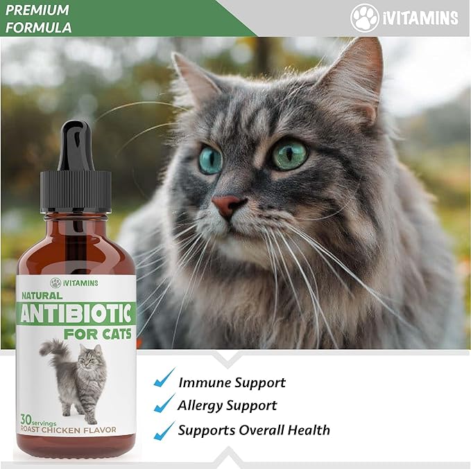 Natural Antibiotics for Cats | Cat Supplements | Cat Antibiotic | Cat Antibiotics | Cat Immune Support | Antibiotic for Cats | Cat Multivitamin | Multivitamin for Cats | 2 Pack: 60 Servings Total