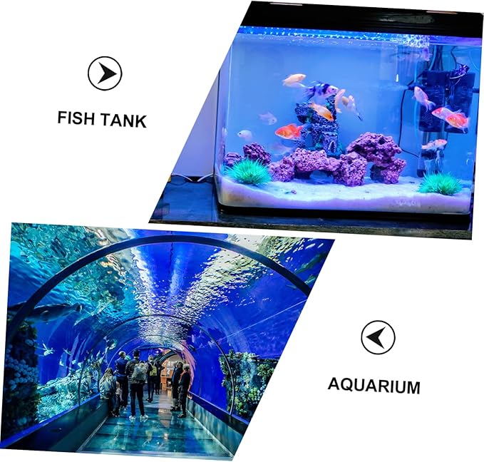 KESYOO Fish Breeding Box Cups Acrylic Isolation Tank for Fish Tank Lightweight and Portable Separator Breeding Accessory
