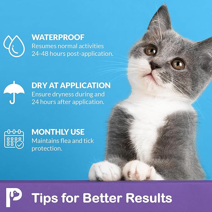 Topical Flea and Tick for Cats & Kittens: Waterproof Topical Cat Flea and Tick – Fast-Acting & Long - Lasting at Home Control for Cats Over 1.5 lbs and 8 Weeks or Older – 6-Dose Supply