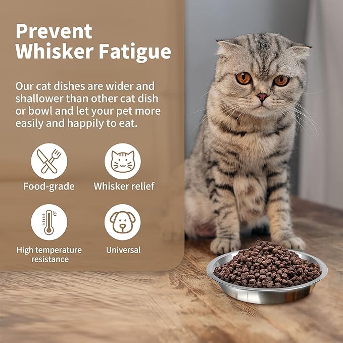 HUOIQUE 10 Pcs 6.2 Inches Stainless Steel Cat Bowls, Whisker Friendly Metal Shallow Cat Dishes for Food and Water