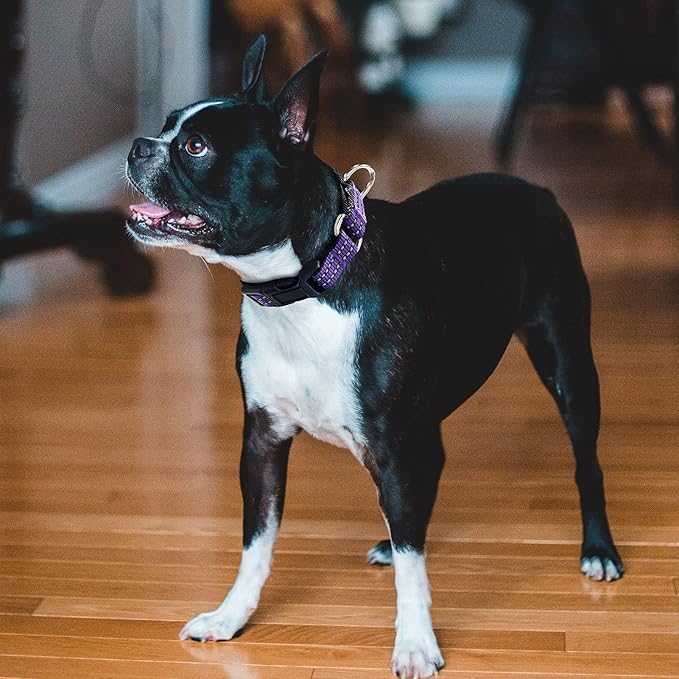 Hikiko Martingale Collar for Dogs Reflective Nylon Dog Collar with Quick Release Buckle Adjustable Training No Slip Dog Collar (X-Small, Purple)