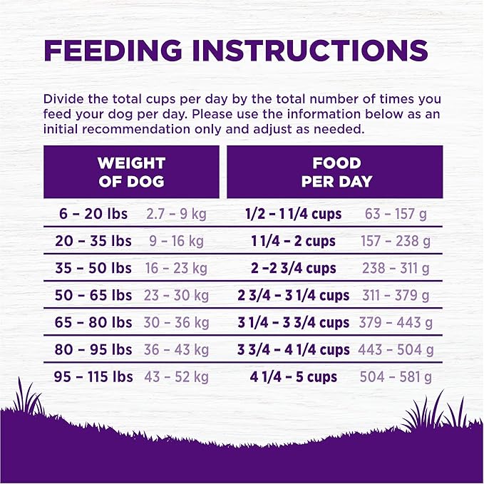 Wellness Complete Health Adult Dry Dog Food, Wholesome Grain Kibble, Natural, Lamb and Barley Recipe, 5 lb Bag