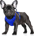 BARKBAY No Pull Dog Harness Large Reflective Dog Harness with Front Clip and Easy Control Handle for Walking Training Running with ID tag Pocket(Sapphire Blue,S)