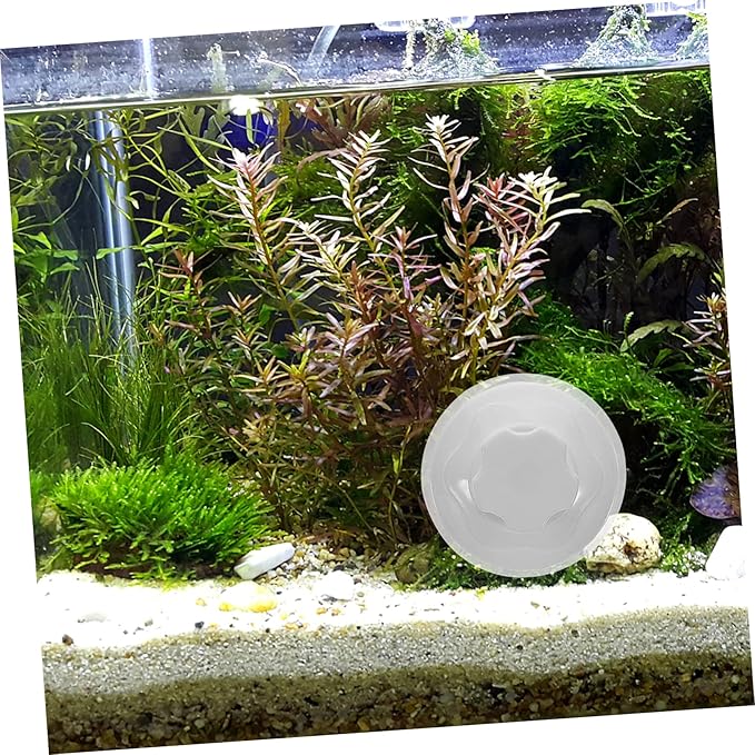 DOITOOL 6pcs Cup Perch Knob for Birds Window-Installed Bird Perch Accessories Strong Absorption for Pets for Smooth for Parrots and Reptiles