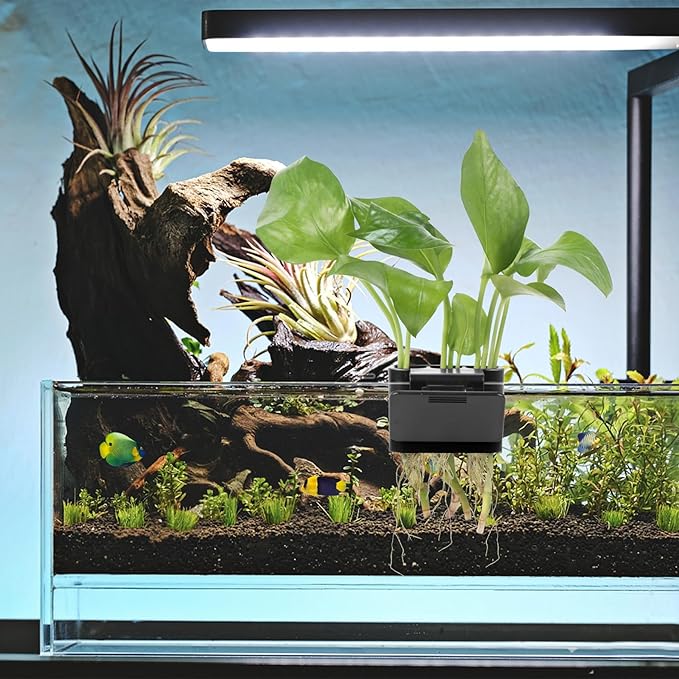 3 Holes Upgraded Aquatic Plant Cup Aquarium Plant Holder for Tank,Aquascape Accessories Decorations- Black 4 Pcs