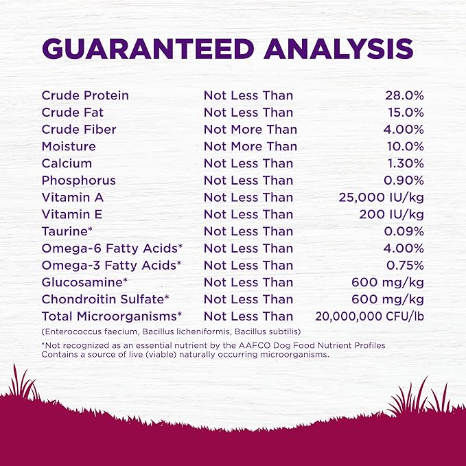Wellness Complete Health Small Breed Adult Dry Dog Food, Wholesome Grain Kibble, Natural, Turkey and Oatmeal Recipe, 12 lb Bag