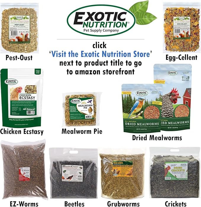Exotic Nutrition 2 LB Beetle Craze Chicken Feed | High Protein Dried Beetles | Better Than Mealworms
