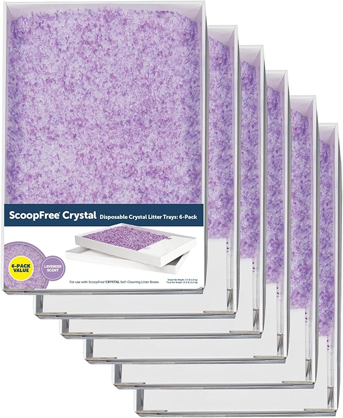 PetSafe ScoopFree Disposable Crystal Cat Litter Tray - Easy Cleaning Box - Refill Tray for Automatic Litter Box - Lavender Scent - 4.3 lb Bags - 6 Pack