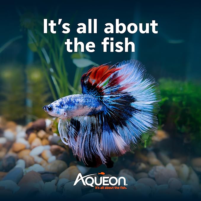 Aqueon LED MiniBow Small Aquarium Fish Tank Kit with SmartClean Technology, Black, 5 Gallon
