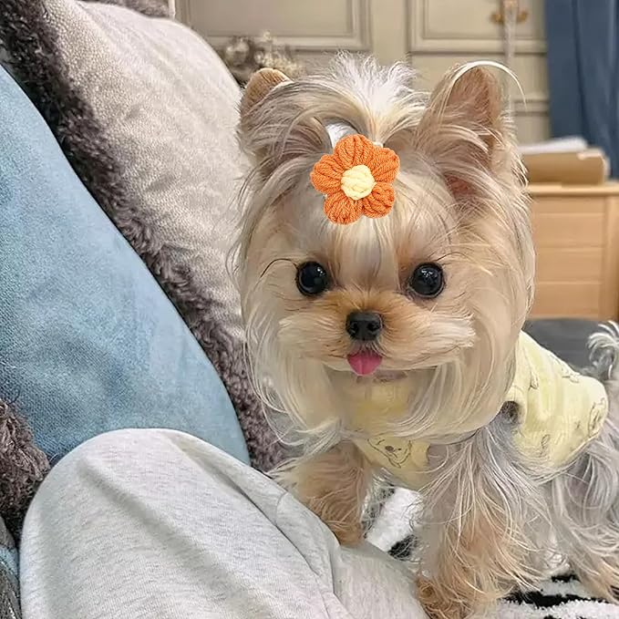 PET SHOW 10Pairs/Pack Flower Dog Hair Bows for Small Medium Dogs Yorkie Girl Boy Flower Bows with Rubber Band Doggies Cat Grooming Hair Accessories for Party Birthday