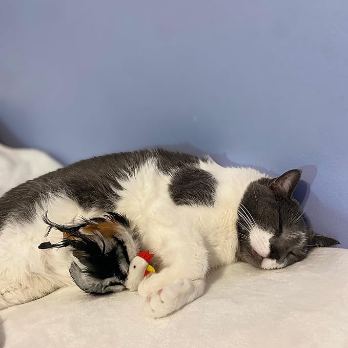 SPOT Birds of a Feather Catnip Toy for Cats – Interactive Plush Toy for Swatting, Pouncing, and Chasing – 6in, Assorted Styles