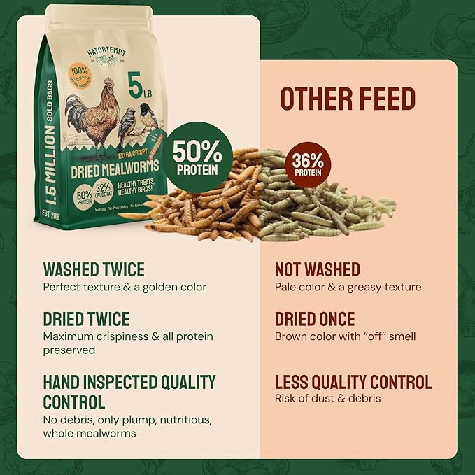 Hatortempt Dried Mealworms - Non-GMO & Organic - High-Protein Mealworms for Wild Bird Food, Ducks & Chickens (5lb)