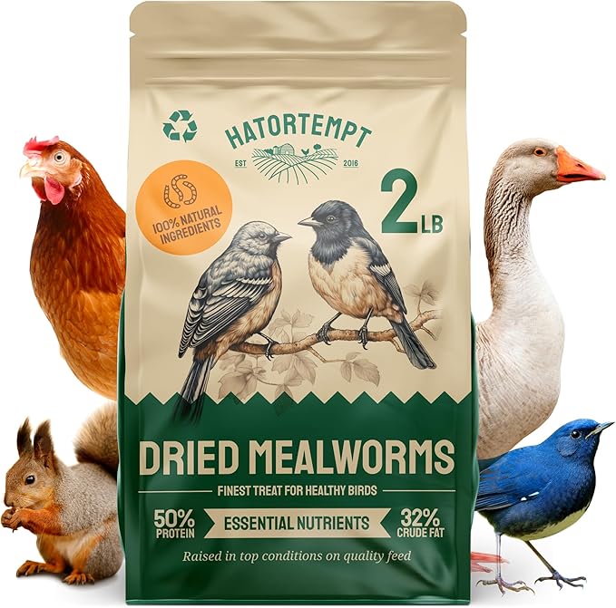 Hatortempt 2lb Dried Mealworms for Chickens - 50% Protein and 32% Essential Fats to Support Healthy Feather Growth During Molt - Organic Treats for Chickens, Ducks, Wild Birds & Reptiles