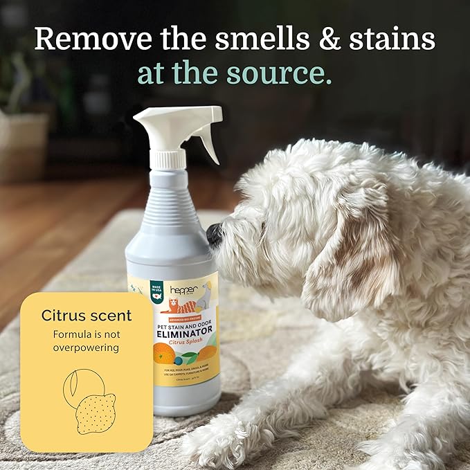Hepper Advanced Bio-Enzyme Pet Stain & Odor Eliminator Spray - Smell, Stain & Urine Remover for Cats, Dogs & Other Animals - 32oz Spray Safe for the Home - Citrus Splash