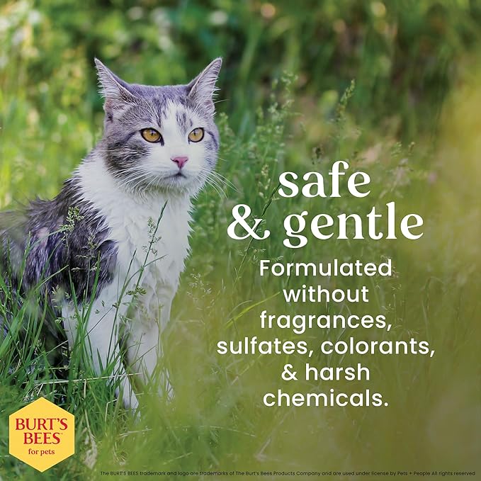 Burt's Bees for Pets Dander Reducing Cat Spray with Colloidal Oat Flour and Honey - Cat Dander Remover Gives Dry Skin Relief for Cats, Essential Kitten Supplies for Allergy Relief, 10 Fl Oz - 2 Pack