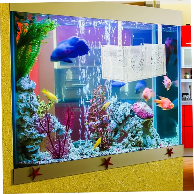 KESYOO Fish Breeding Box Cups Acrylic Isolation Tank for Fish Tank Lightweight and Portable Separator Breeding Accessory