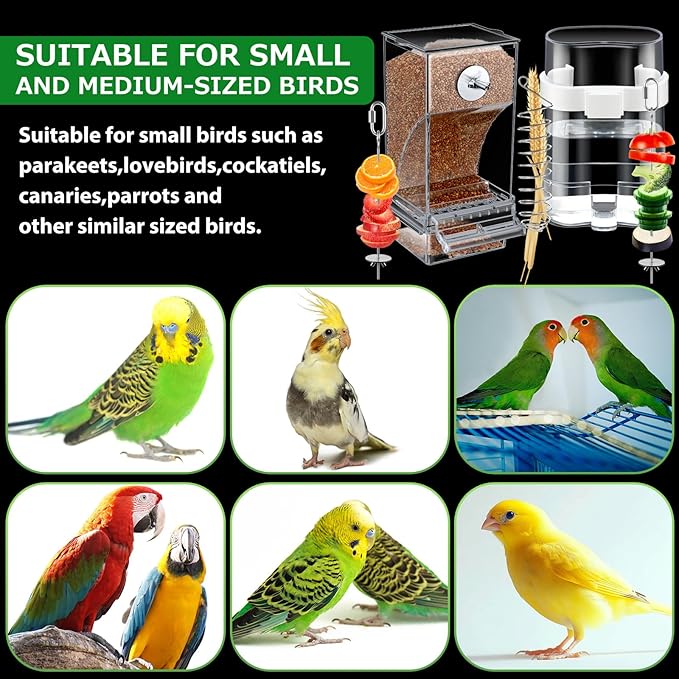7 Pcs No Mess Small Bird Feeders Set Automatic Clear Parakeet Feeder and Watered Dispenser Cage Accessories Stainless Steel Fruit Vegetable Skewer Foraging for Lovebirds Budgies Finch