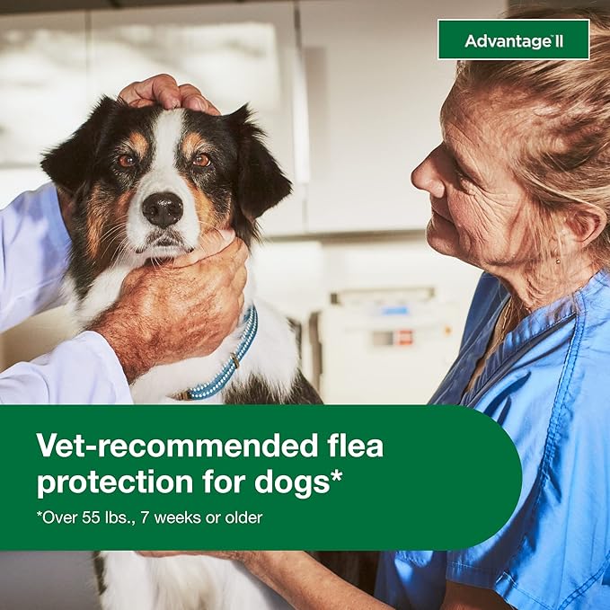 Advantage II Extra Large Dog, 4 pack