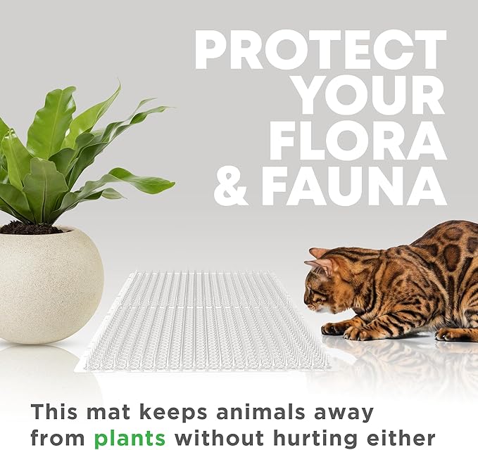Petfolio 12 Pack Scat Mat for Cats - 16 x 13 Inch Cat Spike Mat with 1 Inch Spike is A Perfect Pet Training Mat Device for Cat Repellent Indoor & Outdoor to Deter Cats & Other Animals for All Seasons
