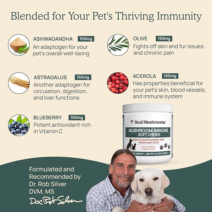 Real Mushroom Immune Pet Chews – For Daily Digestive & Immune Health – Mushrooms for Dogs & Cats Functional Treat – Mushroom Supplement for Dogs & Cats – 1 to 4 Chews For All Breeds & Sizes (60 Count)