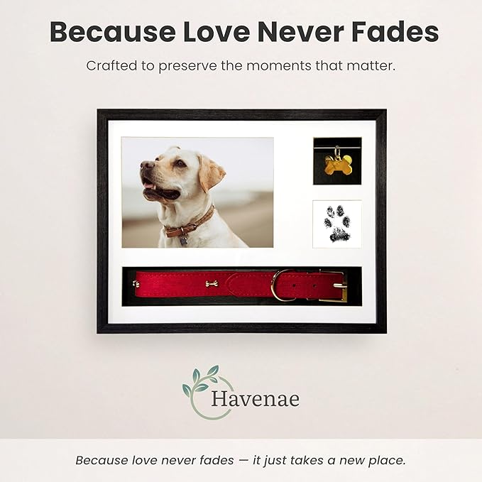 Dog Memorial Frame Shadow Box | Meaningful Pet Memorial Gifts for Dogs | Dog Bereavement Gifts with Unique Tag Slider, Fits All Collars & Hidden Compartment | Black 11x14 in