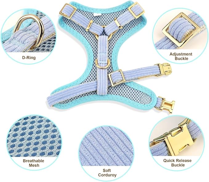 Didog Cute Small Dog Harness Collar and Leash Set with Bowtie, Breathable Soft Mesh Padded Puppy Harness, Dog Harness for Small Dogs Daily Walks Parties, Holiday Gatherings & Gifts, Blue, S
