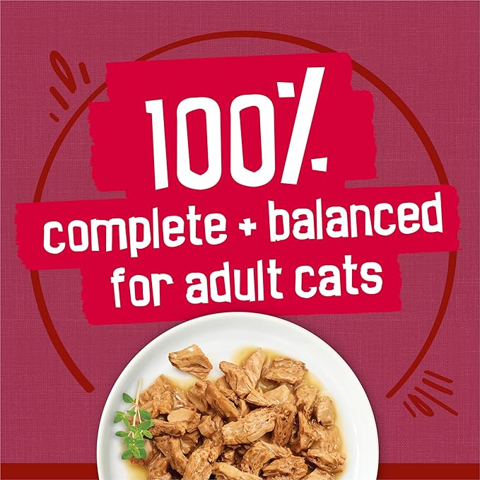 Friskies Purina Gravy Wet Cat Food Variety Pack,Prime Filets Meaty Favorites - 5.5 oz. Cans,(Pack of 48)
