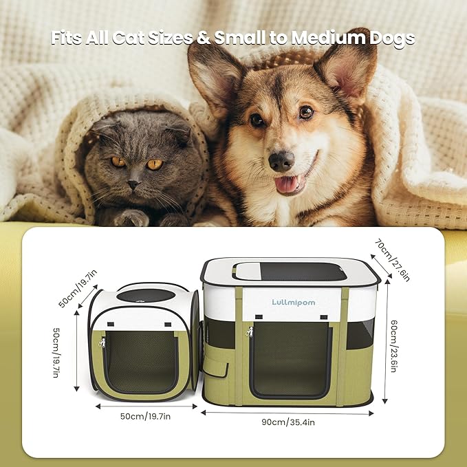 2-in-1 Foldable Cat Tent, Pop-Up Cat Play Tent with Breathable Mesh, Portable Collapsible Cat House for Indoor Cats, Suitable for Indoor & Light Outdoor Use