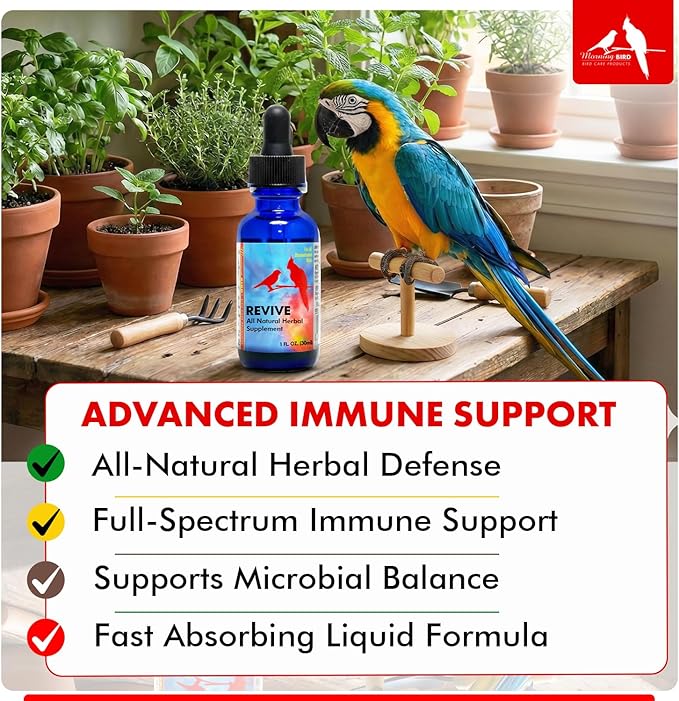 Morning Bird Revive 1 Fl oz – Herbal Extract Blend for Immune Support for Birds - Improved Liquid Formula for Optimum Immune Defense & Faster Absorption - Enhanced Digestive Health, Energy & Wellness