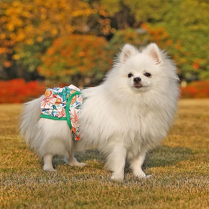 Dog Diapers Washable (3 Pack), Reusable Female Dog Diapers Highly Absorbent for Heat, Incontinence, XS