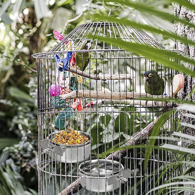 Okllen 4 Pack Bird Feeding Dish Cups, Detachable Stainless Steel Bird Food Bowls with Clamp for Chinchilla Parrot Cockatiel Conure Budgies Parakeet Small Animal