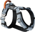 MADE TO ROAM Premium Explorer Harness - Y-Shaped Dog Harness with Adjustable Durable Nylon, Soft Padding, Metal Buckles and Leather Handle for Small, Medium, Large Dogs (Virginia Mountains, Size 4)