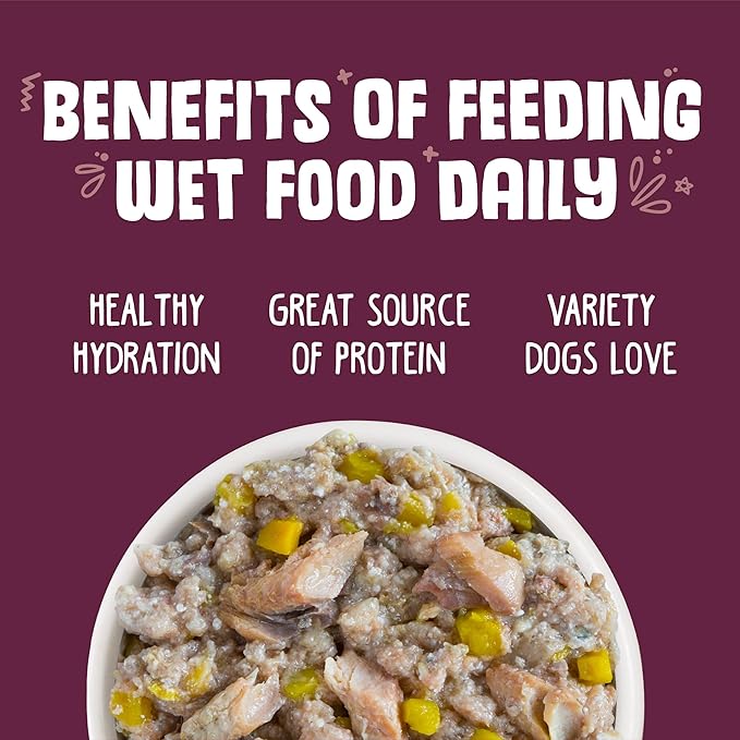Weruva Classic Dog Food, Hot Dayam! with Lamb in Gelée, 5.5oz Can (Pack of 24)