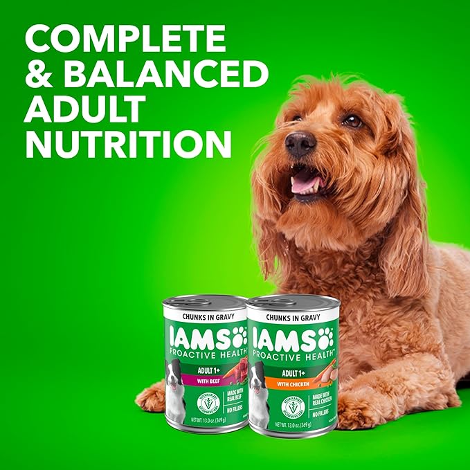 IAMS Proactive Health Wet Dog Food Adult, Canned Dog Food, Beef, Rice, Carrots & Green Beans Chunks in Gravy, 13 oz. Cans (Pack of 12)