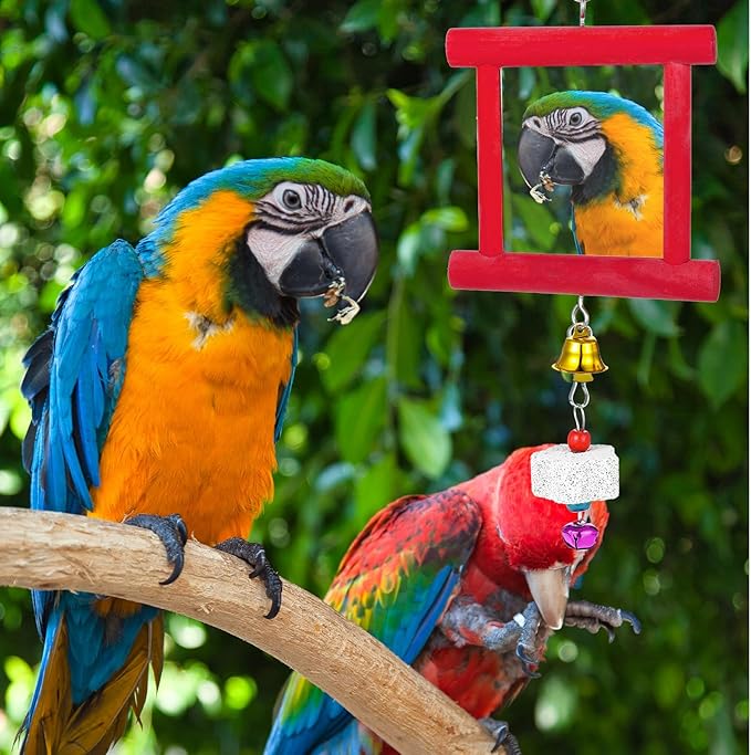 3 Packs Chicken Toys for Coop, Hen Chicken Coop Mirrors Bird Toy with Bells Hanging Parrot Grindstone Bird Beak Stones for Chicks Parrots Birds Hens