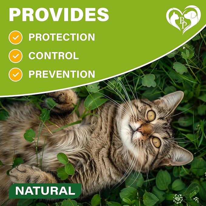 Natural Flea & Tick Collar for Cats - 12 Months Control of Best Prevention & Safe Treatment - Anti Fleas and Ticks Essential Oil Repellent (1 Count)