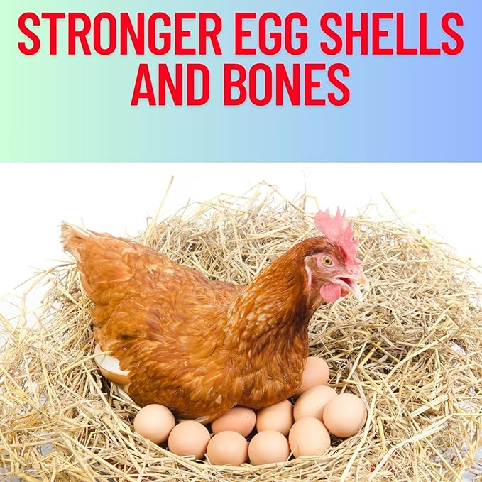 Red Stone + Lime stome + OysterShell Mix Grit Minerals, High Calcium Supplement, Promote Strong Bones, Better Digestion, Overall Well-Being for Pigeons, Small Cage Birds, Duck and Chickens 3 Pounds
