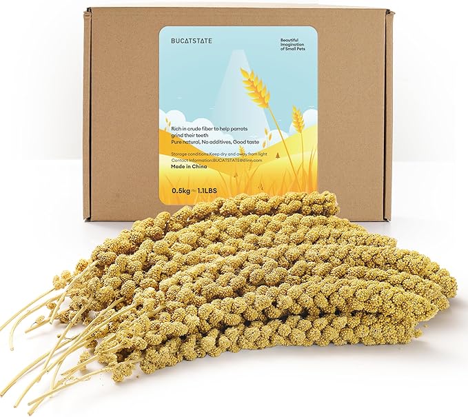 BUCATSTATE Spray Millet for Birds, Sun-Dried Healthy Millet Parakeet Treats for Parrots Cockatiel Lovebird Finch, GMO-Free Parakeet Food - 1.1lb