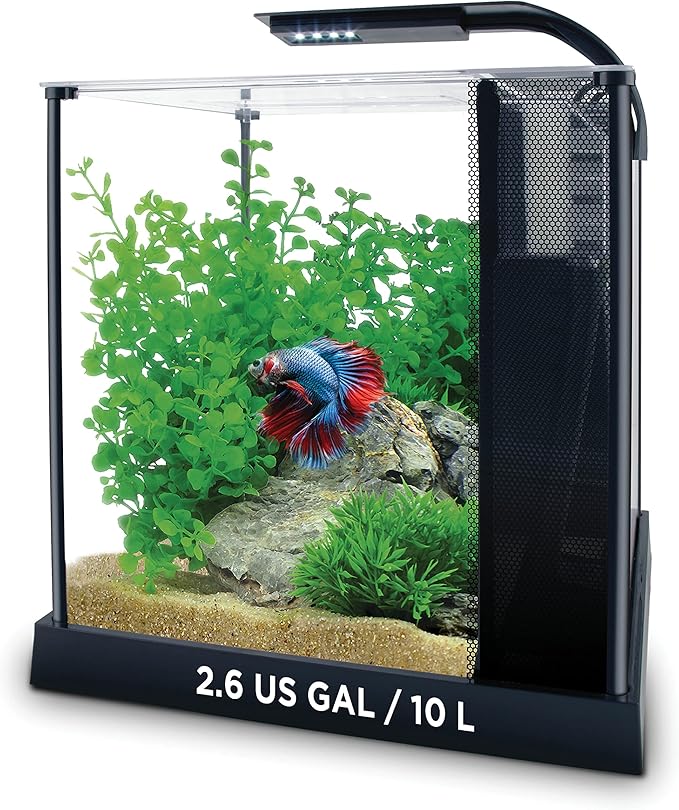 Fluval Betta Premium Aquarium Kit, 2.6 Gallon