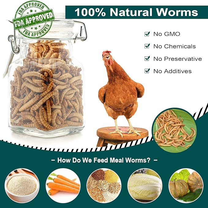 24LBS Non-GMO Dried Mealworms, 100% Natural Large Size No Moisture, Mealworms for Chickens, Birds, Hedgehog, Hamster, Fish, Reptile, Turtles (24LB)