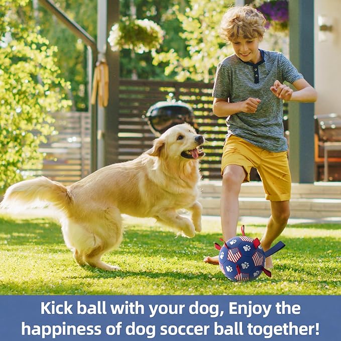 QDAN Dog Toys Soccer Ball with Straps, Durable Balls for Large Dogs, Beach Pool Dog Water Toy, Puppy Dog Birthday Gifts (8 Inch)