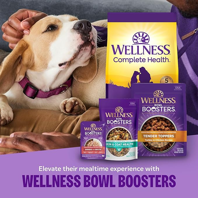 Wellness Bowl Boosters Simply Shreds Wet Dog Food Topper for Small, Medium, and Large Breeds, Grain Free, Natural, Wild Salmon and Pumpkin Recipe, 2.8 oz, Pack of 12 Pouches