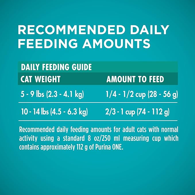 Purina ONE Sensitive Stomach, Sensitive Skin, Natural Dry Cat Food, +Plus Sensitive Skin and Stomach Formula - 3.5 Lb. Bag