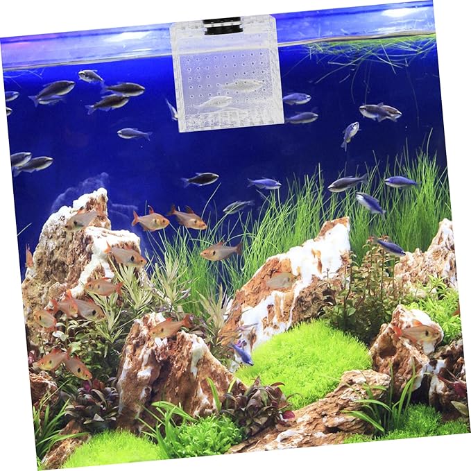 UPKOCH 1pc Fish Isolation Box Magnet Transparent Breeding Container for Aquarium for Fish and Shrimp Separation Tank Accessory