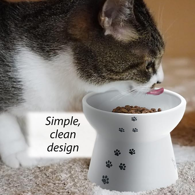 Necoichi Raised Cat Food Bowl – Ceramic Elevated Cat Bowl for Whisker & Neck Fatigue, Dishwasher Microwave Safe – Non-Slip & Anti Vomiting Ergonomic Design (Cats, Large, 2-Cup Capacity)