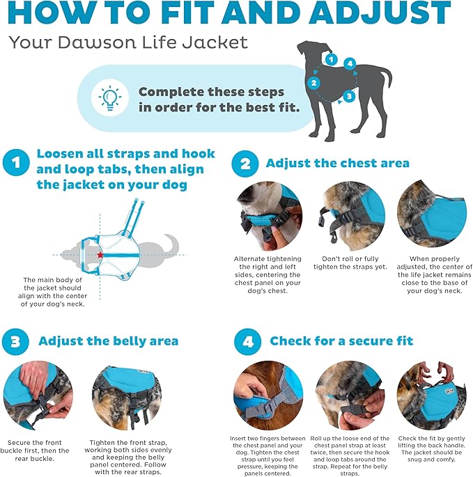 Outward Hound Dawson Swim Blue Dog Life Jacket, Small