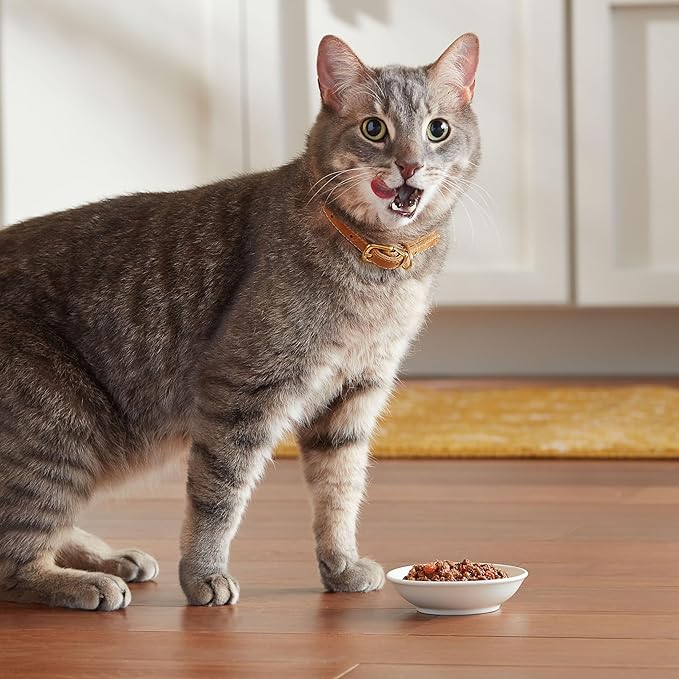 Meow Mix Tenders in Sauce Wet Cat Food,Tuna & Shrimp,2.75 Ounce Cup,(Pack of 96)