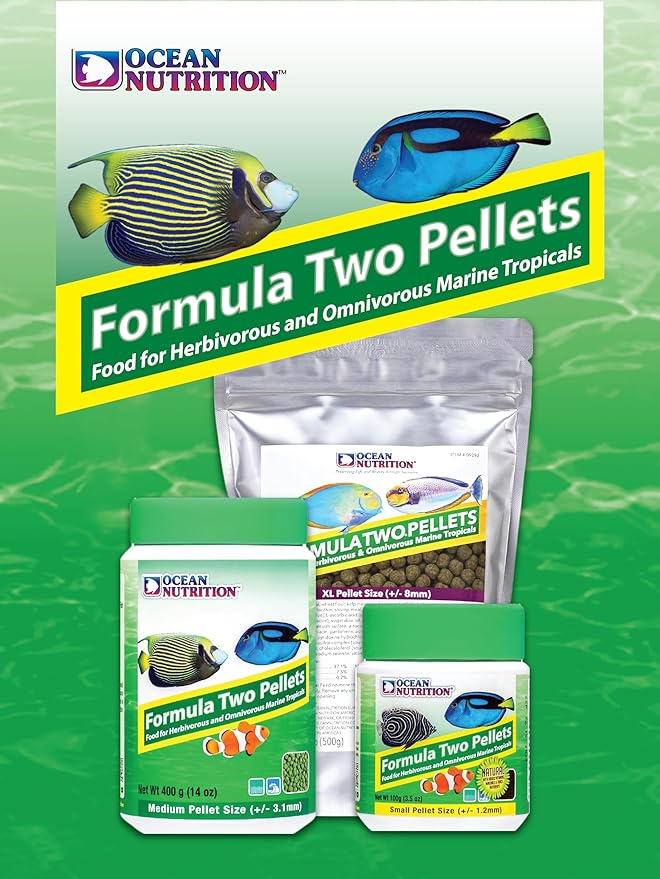 Ocean Nutrition Formula Two Pellets - Fish Food for Herbivorous & Omnivorous Marine Tropical Fish, High Protein(40%) - 7 oz (200 g) Small Pellets