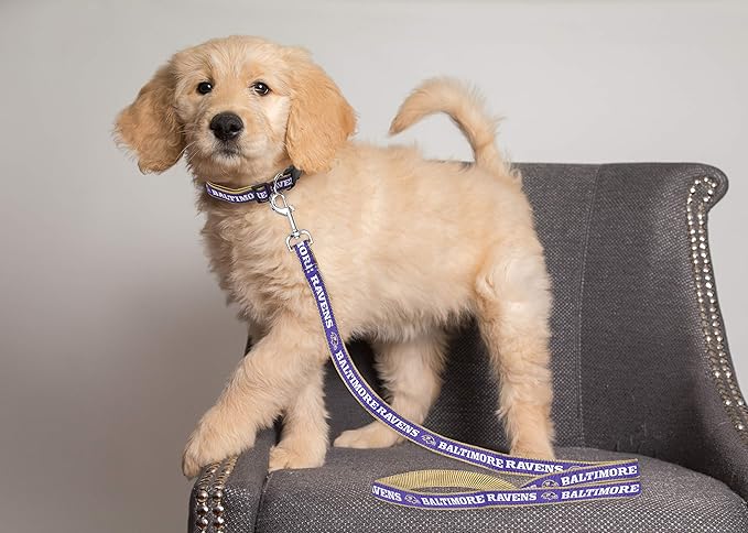 Pets First NFL Licensed Baltimore Ravens Pet Leash, Size Medium – Durable Satin Dog & Cat Walking Strap and Pet Tether with Embroidered Team Name & Logo